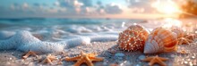 Beautiful Sea Shells On Seashore Room, Background HD, Illustrations