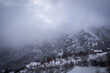 Snowy weather in the mountain forest.Cold weather, High quality photo