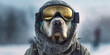 © Dmitry - Adventurous Pooch Ready for Snowy Trek in Goggles and Gear Banner