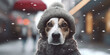 Winter Wonder: Adorable Dog Bracing Snowflakes in Cozy Scarf and Hat Banner