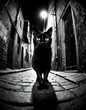 Mysterious Feline Prowler: A Black Cat's Nocturnal Adventure in a Dark Alley | This striking black and white photograph captures the haunting presence of a black cat prowling through a dimly lit 