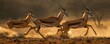 Antelope leap, overtaking rivals in a graceful jump, captured with dynamic contrast and motion