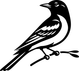 Sticker - Oriole Bird