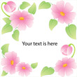 Vector card, banner, invitation - delicate beautiful pink flowers on a white background, framing a place for your text.