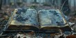 Amidst pages consumed by ash, a fading future beckons, a dire consequence of environmental disregard, with a blurred backdrop.