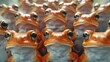   A tight shot of an ensemble of orange and white frog figurines with open, wide-eyed gazes