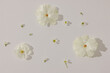 © Nicole Mason/Stocksy - flat lay of white flowers on white surface