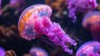   A tight shot of a jellyfish within a tank, surrounded by more jellyfish and their waters in the foreground