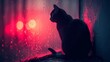   A black cat perched on a window sill next to a pane of glass dotted with raindrops
