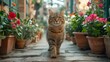   A cat strolling along a sidewalk beside potted plants, adorned with pink and red blooms