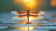   A dragonsfly, in tight focus, hovers above a tranquil body of water Sun rays gleam from a distance, illuminating the horizon behind