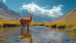   A llama stands in a body of water, surrounded by mountain range and cloud-studded sky