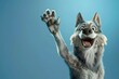 funny wolf raising hand on isolated color background