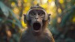   A monkey with an open mouth in front of a grove of trees