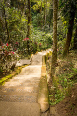 Sticker - Garden in Pura Goa Gajah, Ubud, Bali, indonesia