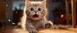© AkuAku - A small to mediumsized cat, part of the Felidae family, with fawn fur and whiskers, is sitting on a wooden floor with its mouth open, a typical gesture of a domestic shorthaired cat