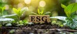  Environmental Social and Governance (ESG). ESG on a woodblock It is an idea for sustainable organizational development, Solar Power Plant. Generated with Ai
