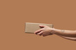 © Yaroslav Danylchenko/Stocksy - Crop of female hands holding carton package over brown background