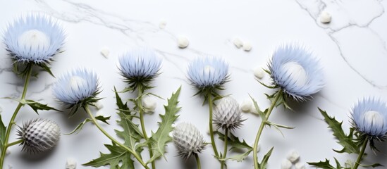 Wall Mural - A beautiful arrangement of blue and white flowers, including dandelions, on a white surface. The contrast of colors creates a stunning display of natures beauty