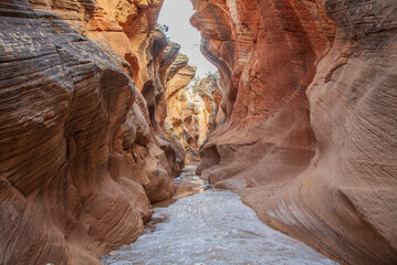 Wall Mural - Scenic Willis Creek Slot Canyon in the Grand Staircase Escalante National Monument Utah