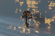 © Giada Canu/Stocksy - bonsai tree with casted shadows