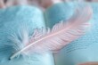 Soft pink feather resting on an open book with blue pages.
