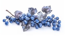Isolated Blue Grapes Dry Bunch On White Background For Packaging Design