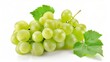 The leaves of a fresh green grape are isolated on a white background.
