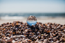 Lens Ball On The Beach