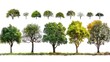 Isolated High-Definition Tree Collection on White Background