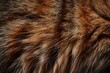 Curious Cat's Close-Up: A Whiskered Wonder Generative AI