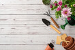 Tranquil garden setting featuring young blooms: top view of chrysanthemums, gardening essentials—watering can, trowel, rake—arranged on wooden surface, with blank area for text or promotion