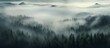 The foggy forest creates a mysterious atmosphere with its misty haze, blending into the mountains on the horizon. Clouds hover above the natural landscape, adding to the serene beauty of the sky