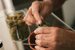 © A2 Images/Stocksy - Man grinding weed