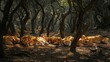 Tranquil cattle resting serenely under the comforting shade of majestic oak trees
