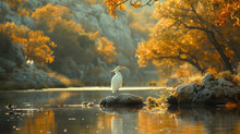 A Heron Stands On A Rock By The Water In A Magical Fall Forest