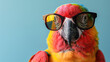 Ara parrot with glasses on turquoise background, copy space