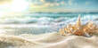 Summer vacation and travel concept. Sea star and shells on the beach. Empty space blurred background. Blue ocean and sky. Sandy beach.