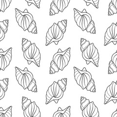 Wall Mural - Seamless pattern of sea shells. Black outline of seashells on a white background. Vector
