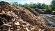 Piles of Organic Material for Biomass Energy Production