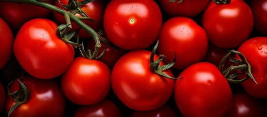 Sticker - A bunch of red plum tomatoes hanging from a vine on a black background. These natural foods are a staple ingredient in many dishes as a whole food vegetable