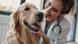 A joyful golden retriever is sitting calmly while a vet conducts a routine check-up, reflecting a comfortable and caring interaction