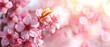 This image captures the delicate beauty of pink cherry blossoms in full bloom against a dreamy, soft-focused background