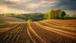 The golden sunset highlights the curving rows of a plowed agriculture field in a rolling landscape