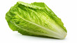 Romaine Lettuce on a White Background