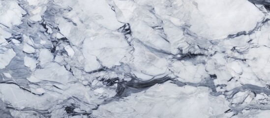 Poster - A close up of a white marble texture resembling snowcovered slopes in winter, with intricate patterns reminiscent of frozen water and delicate twigs