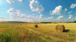 A panoramic view of a freshly harvested field dotted with hay bales under expansive cumulus clouds