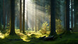 Natural woods illuminated by sunlight