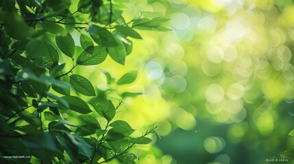 A soft green natural bokeh background provides a serene and calming backdrop for various uses