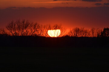 Wall Mural - Sunset